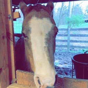 Meet your Posher, Shae